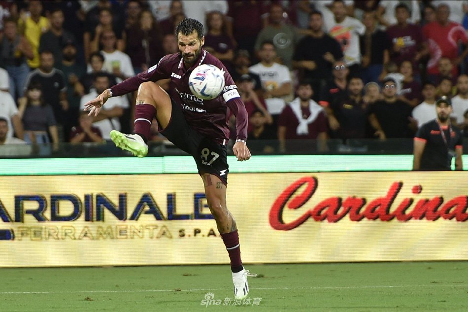 的高效发挥 的高效发挥